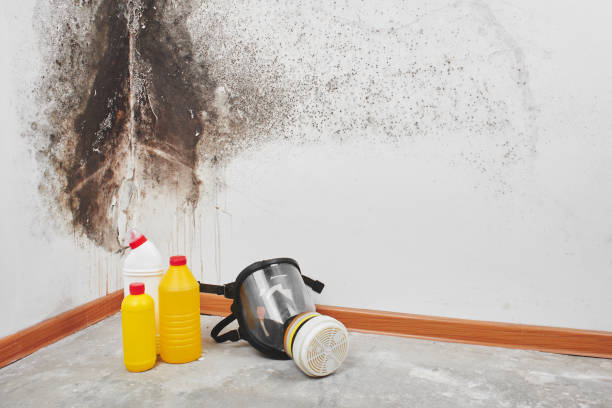 Best Water Damage Restoration  in Oxford, MI
