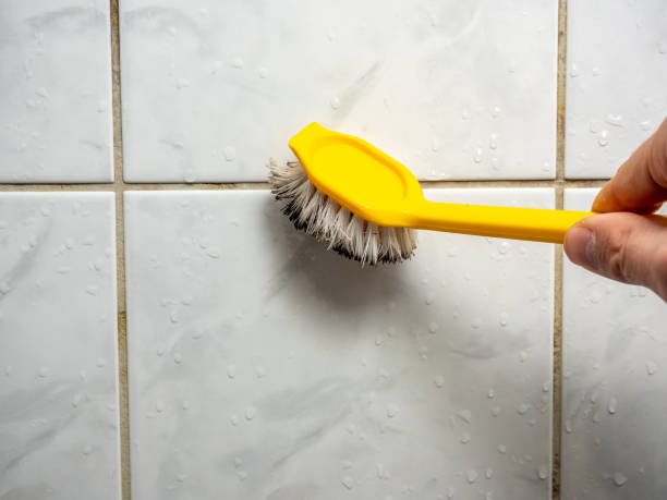  Oxford, MI Mold Removal Pros